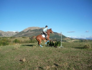  Addestramento equestre vicino a Gap 